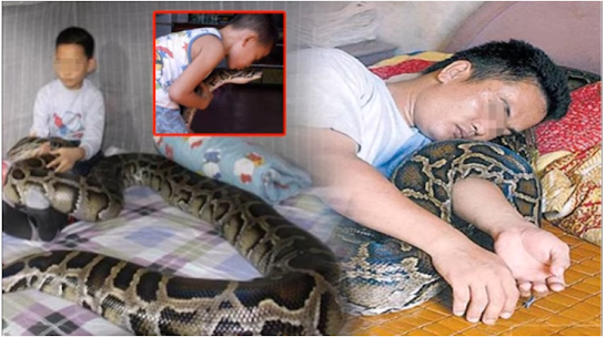 แทบทรุด!!!! ชายหนุ่มช่วยชีวิตลูกงูไว้ 9 ปีก่อน พอโตขึ้นมามันกลับตอบแทนเขาแบบนี้