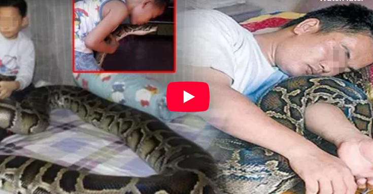 แทบทรุด!!!! ชายหนุ่มช่วยชีวิตลูกงูไว้ 9 ปีก่อน พอโตขึ้นมามันกลับตอบแทนเขาแบบนี้