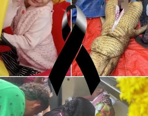 เด็กหญิงวัย 5 ขวบ เสียชีวิตหลังถูกจระเข้กินต่อหน้าพ่อแม่…