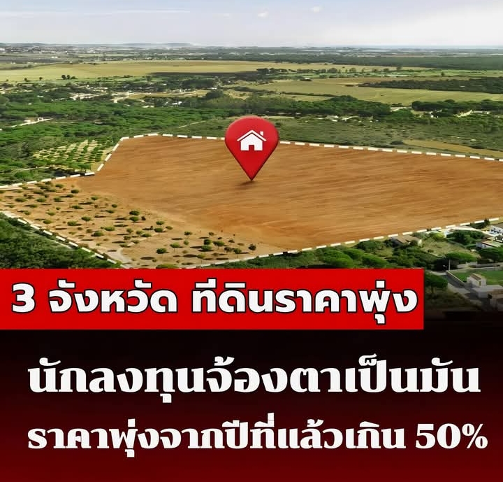 3 จังหวัด ราคาที่ดินพุ่งแรงสุดในปี 2568 นักลงทุนอสังหาจ้องตาเป็นมัน ใครมีที่แถวนี้เตรียมรวย!