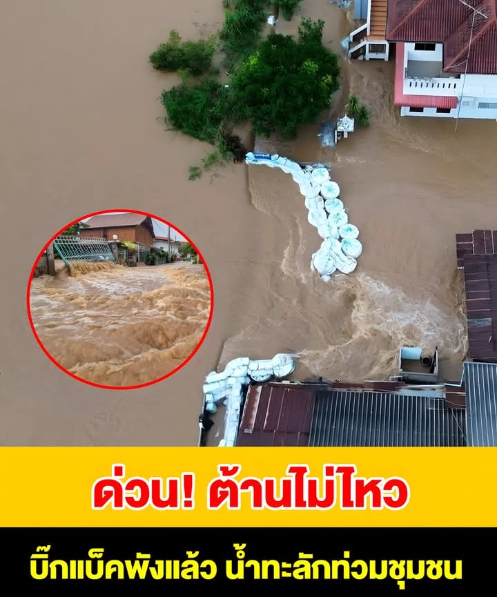 ด่วน! ต้านไม่ไหว บิ๊กแบ็คพังแล้ว น้ำยมทะลักพรวดท่วมชุมชนคูหาสุวรรณ จ.สุโขทัย