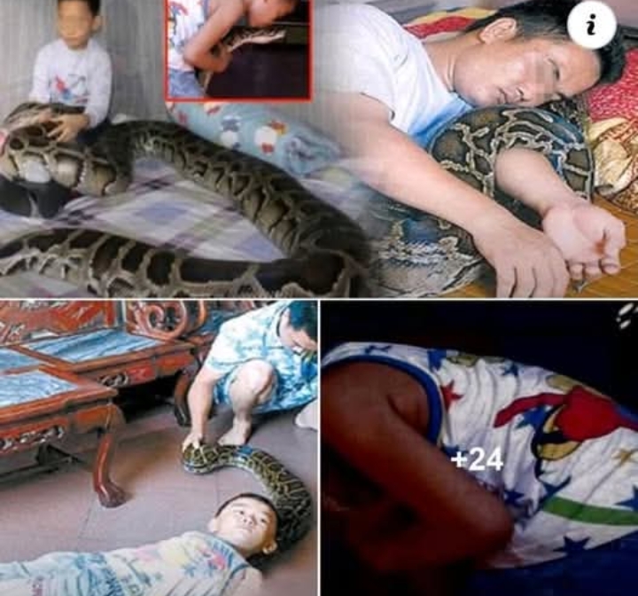 แทบทรุด!!!! ชายหนุ่มช่วยชีวิตลูกงูไว้ 9 ปีก่อน พอโตขึ้นมามันกลับตอบแทนเขาแบบนี้