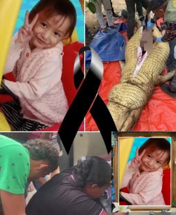 เด็กหญิงวัย 5 😢👇ขวบ เสียชีวิตหลังถูกจระเข้กินต่อหน้าพ่อแม่…