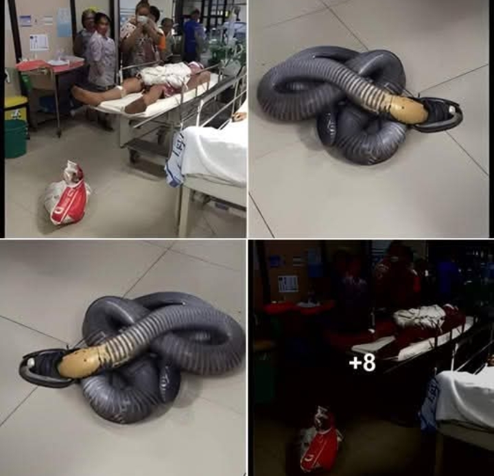 ฮือฮา!!! หนุ่มถูกงูกัด พางูมาร.พ. ชาวบ้านเหลือบไปเห็นเกร็ดงูถึงกับผงะ ปรากฏอักขระ !???