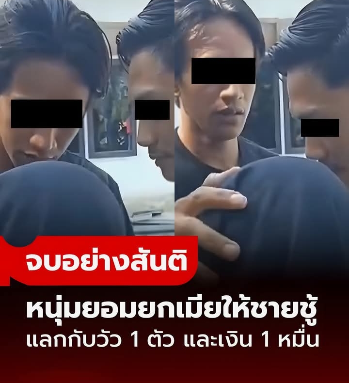 หนุ่มอินโดฯ ยอมยกเมียให้ชู้รัก จบปัญหาถูกนอกใจอย่างสันติ โดยแลกกับวัว 1 ตัว