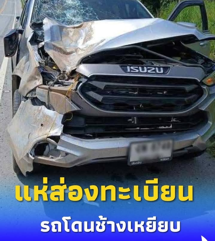 แห่ส่อง รถพ่อค้าลอตเตอรี่ โดนช้างป่ากระโดดเหยียบ รอดหวุดหวิด