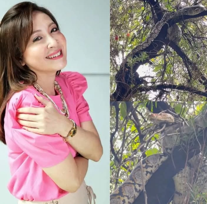 กวาง กมลชนก เจองูเหลือมยักษ์บุกบ้าน ไม่พลาดบอกเลขที่บ้าน