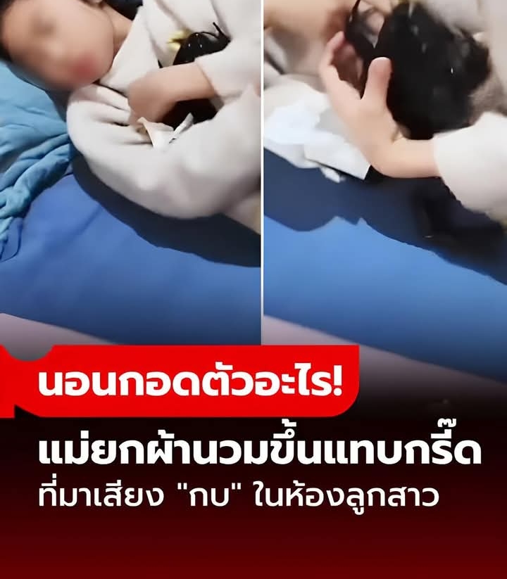 ได้ยินเสียง “กบ” จากห้องลูกสาวทั้งคืน ยกผ้านวมขึ้นแทบกรี๊ด ลูกนอนกอดตัวอะไร!!!
