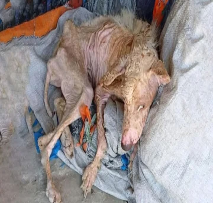 From Suffering to Hope: Rudy’s Inspiring Journey of Healing and Transformation