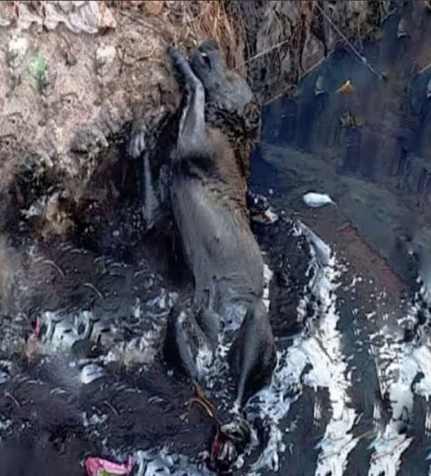 From Despair to Hope: Eric’s Journey to Recovery and a New Lease on Life