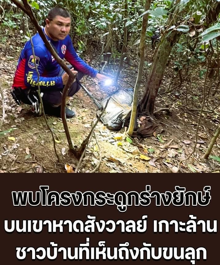 ชาวบ้านผงะ! พบชิ้นส่วนกระดูกมนุษย์รูปร่างสูงใหญ่ บนเขาหาดสังวาลย์ เกาะล้าน ตำรวจส่งพิสูจน์อัตลักษณ์ หาสาเหตุการเสียชีวิตแท้จริง