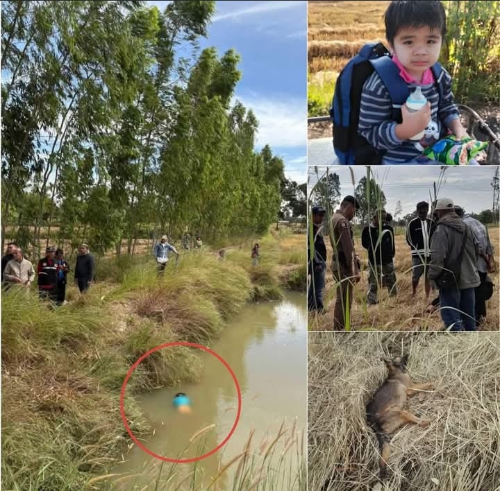 ข่าวด่วน!! ข่าวเศร้ายืนยันการเสียชีวิตของ… ดูเพิ่มเติม!!