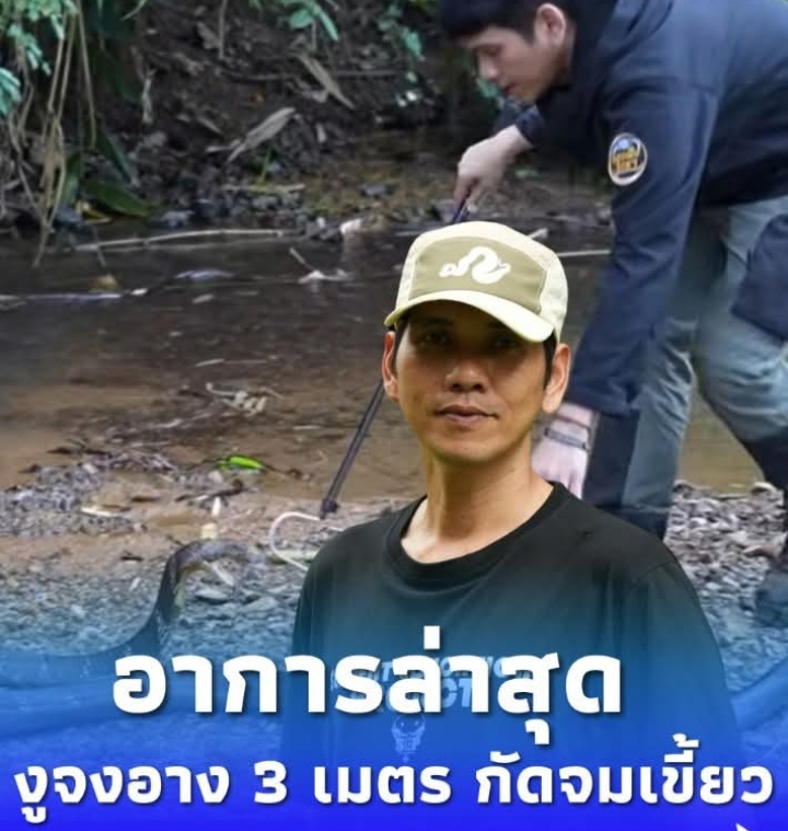 เปิดอาการล่าสุด “นิค อสรพิษวิทยา” หลังถูกจงอาง 3 เมตร กัดเข้าเต็ม ๆ