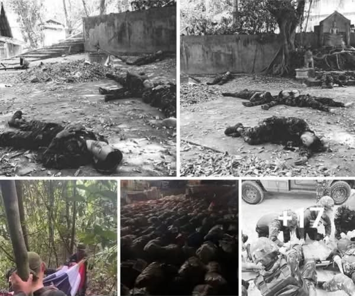 ข่าวด่วน!! ข่าวเศร้ายืนยันการเสียชีวิตของ… ดูเพิ่มเติม!!