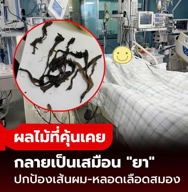 แม่ลูกป่วยคู่ ตับ-ไตวายพร้อมกัน หมออุทาน “สิ่งนี้มีพิษ” มันคือพืชต้องห้าม..